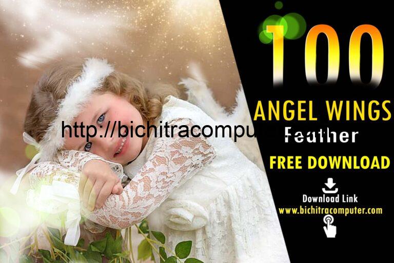 Angel Wings and Feathers